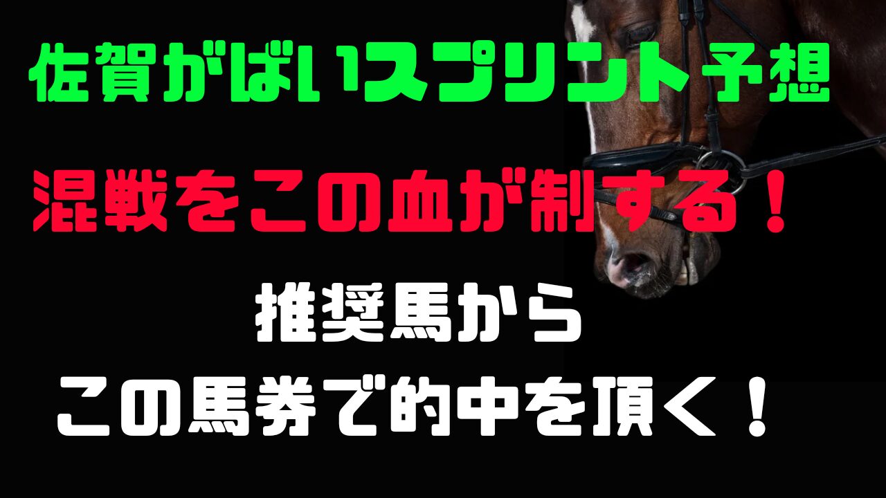 佐賀がばいスプリント予想!この血統を狙う!
